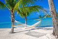 Cotton Rope Hammock Double