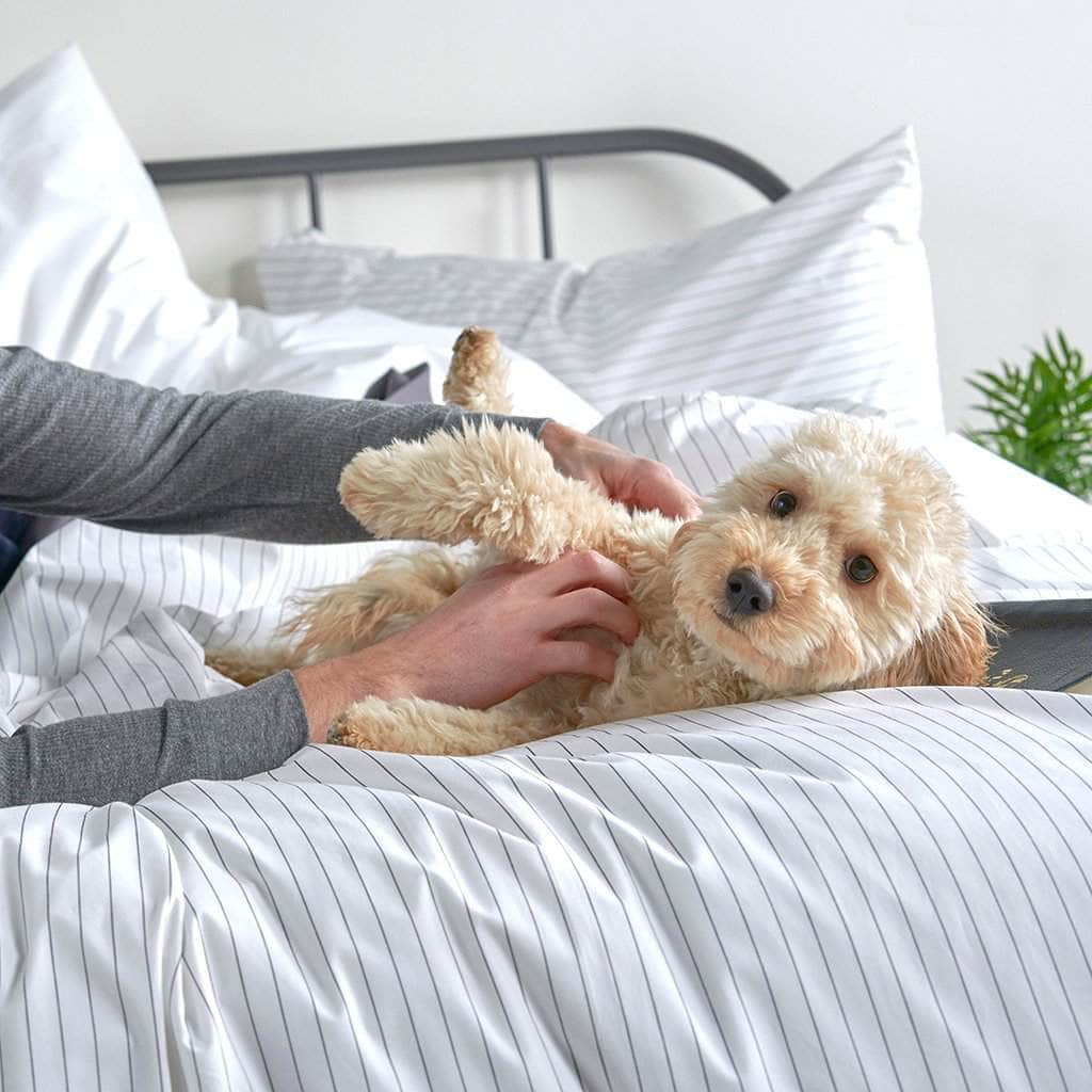 Cotton Essential Organic Percale Collection Duvet Cover & Pillowcase Set