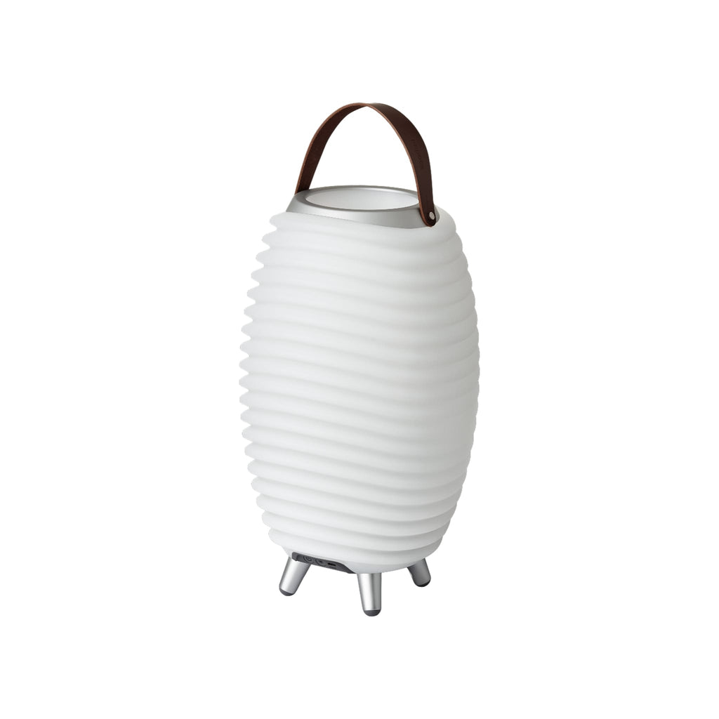 Indoor Outdoor Lighting Bluetooth speaker Design LED Lamp and Cooler