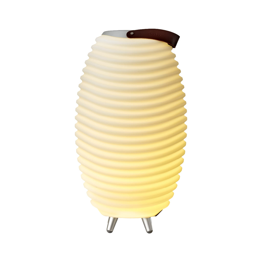 Indoor Outdoor Lighting Bluetooth speaker Design LED Lamp and Cooler