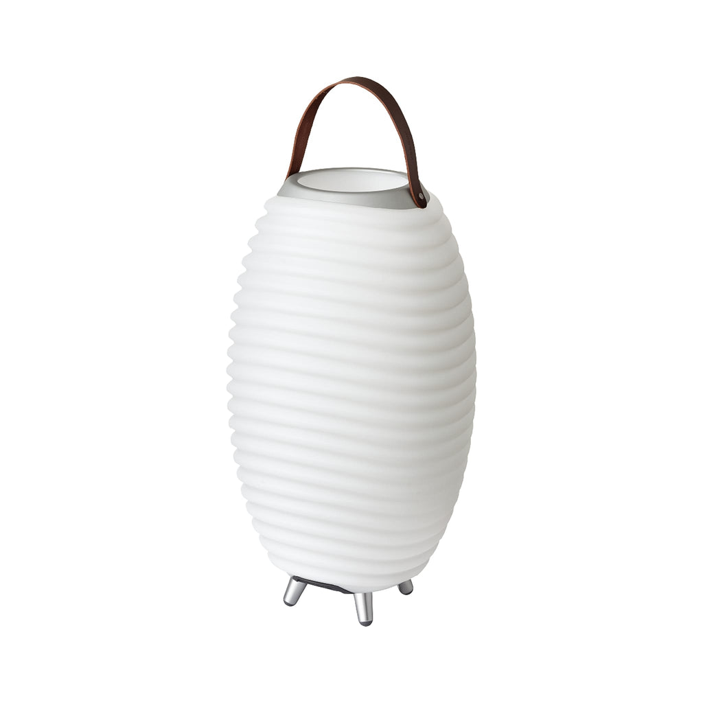 Indoor Outdoor Lighting Bluetooth speaker Design LED Lamp and Cooler